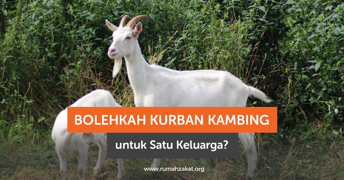 Kurban Kambing untuk Satu Keluarga