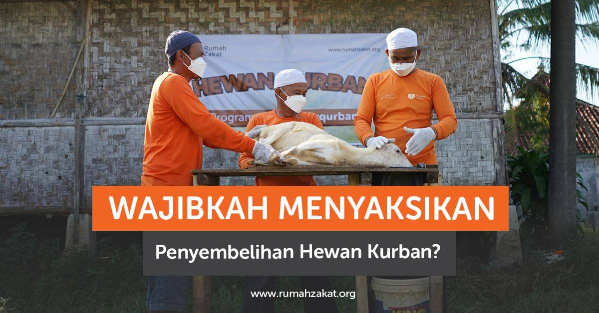 Wajibkah Menyaksikan Qurban