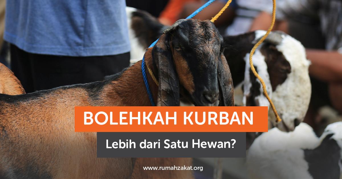 Bolehkah Kurban Lebih dari Satu Hewan?