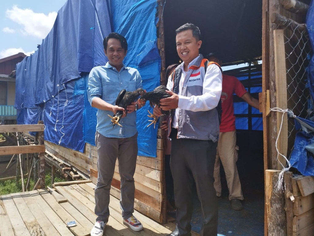 PANEN PERDANA KELOMPOK TERNAK AYAM BUMMAS LEGOK BERDAYA DALAM PROGRAM BANTUAN PENGEMBANGAN UMKM AGRO PT. ADIRA DINAMIKA MULTI FINANCE SYARIAH BERSAMA RUMAH ZAKAT