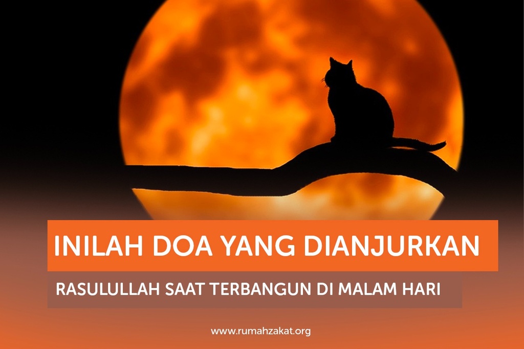 INILAH DOA YANG DIANJURKAN RASULULLAH SAAT TERBANGUN DI MALAM HARI