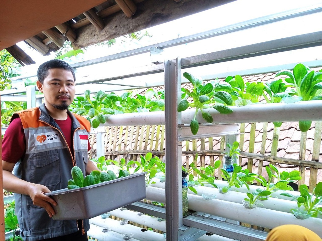 RUMAH ZAKAT TERUS OPTIMALKAN KEBUN GIZI UNTUK JAGA KETAHANAN PANGAN