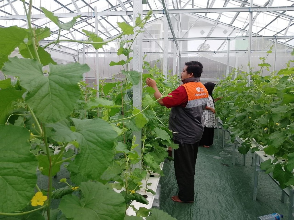 RUMAH ZAKAT TERUS BERIKAN PENDAMPINGAN PERSIAPAN POLINASI KELOMPOK KEBUN GIZI JAMKRINDO