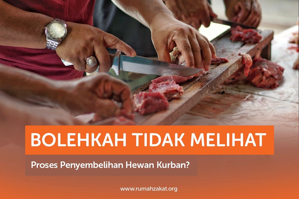 BOLEHKAH TIDAK MELIHAT PROSES PENYEMBELIHAN HEWAN KURBAN?