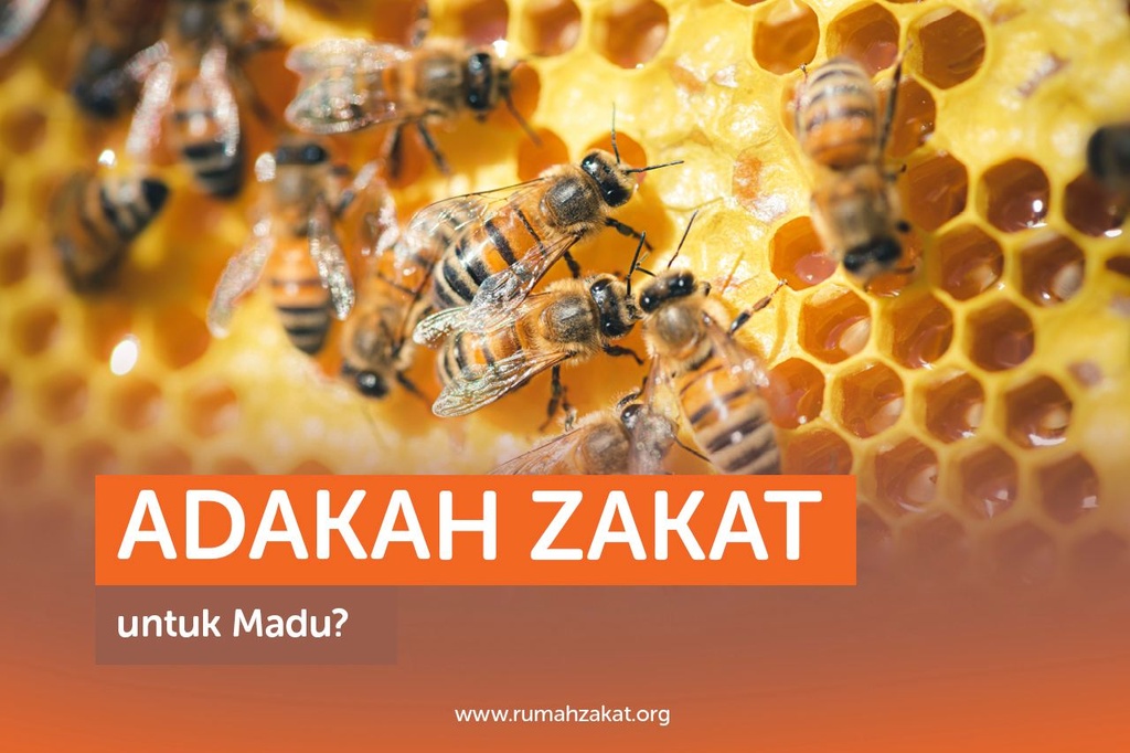 ADAKAH ZAKAT UNTUK MADU?