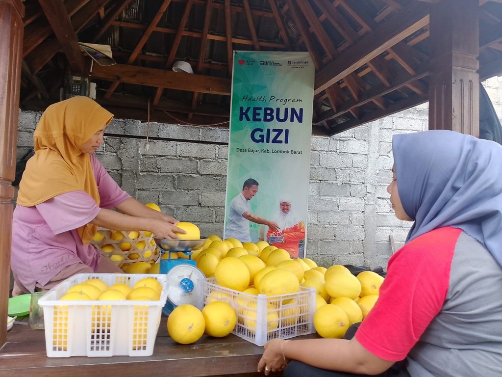KABAR BAHAGIA, PROGRAM KEBUN GIZI JAMKRINDO BERHASIL PANEN MELON PERDANA