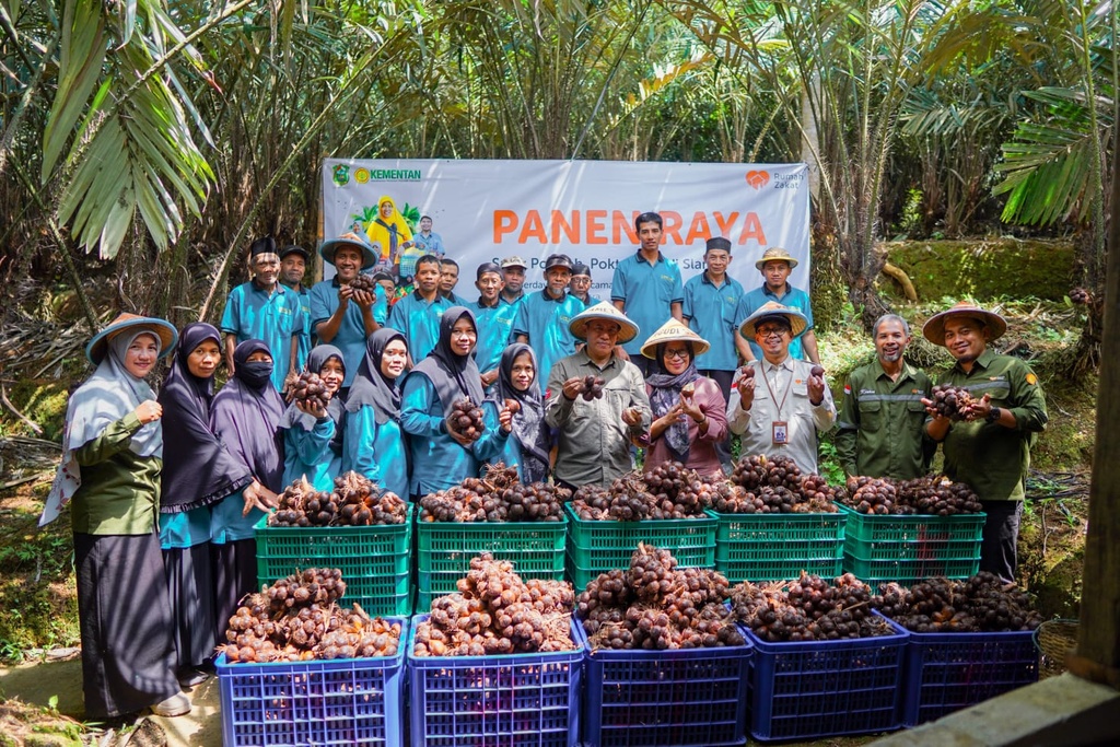 RUMAH ZAKAT DAN KEMENTERIAN PERTANIAN RI ADAKAN PANEN RAYA SALAK PONDOH DI BANJARNEGARA