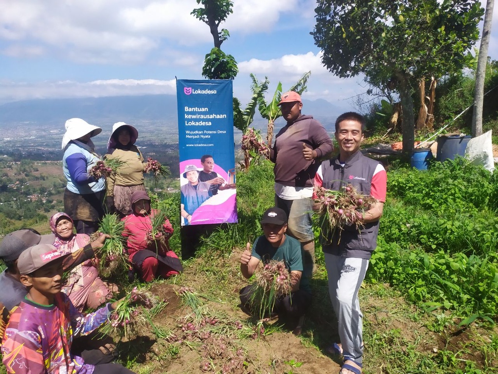 ANGGOTA BUMMAS SAMBUT BAHAGIA PANEN BAWANG MERAH DI DESA BERDAYA