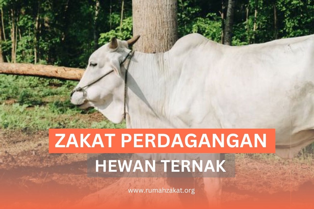 MENGENAL ZAKAT PERDAGANGAN HEWAN TERNAK