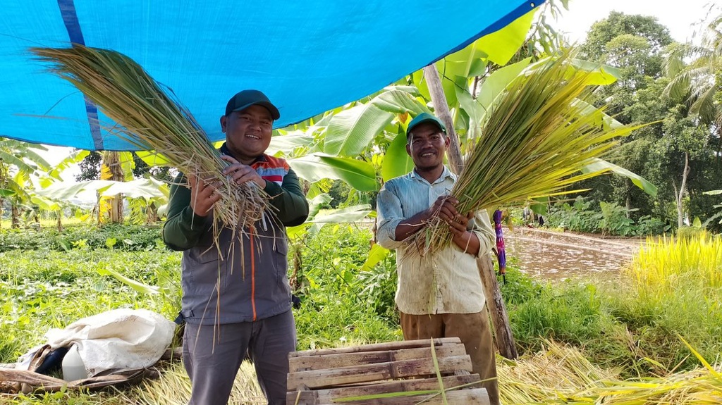 PANEN RAYA TIBA, PETANI BINAAN RUMAH ZAKAT SAMBUT PENUH KEBAHAGIAAN