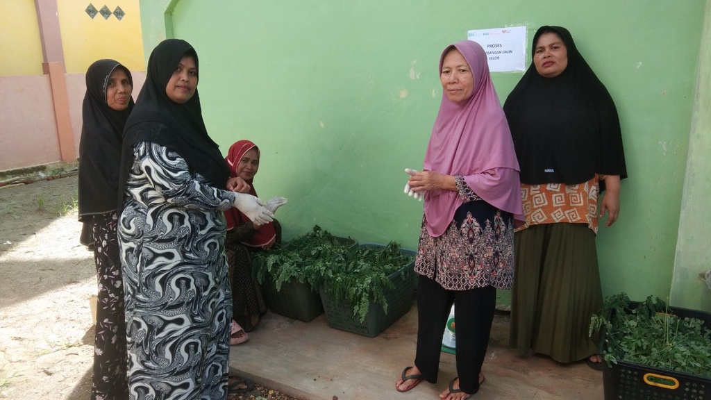BSI MASLAHAT BERSAMA RUMAH ZAKAT GULIRKAN PRODUK OLAHAN DAUN KELOR