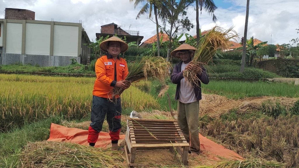 MUSIM PANEN TIBA, PAK MAMAN SAMBUT DENGAN PENUH BAHAGIA