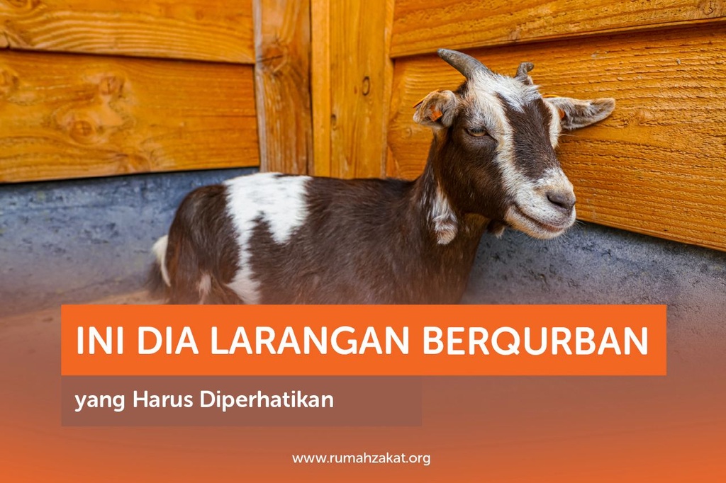 INI DIA LARANGAN BERQURBAN YANG HARUS DIPERHATIKAN