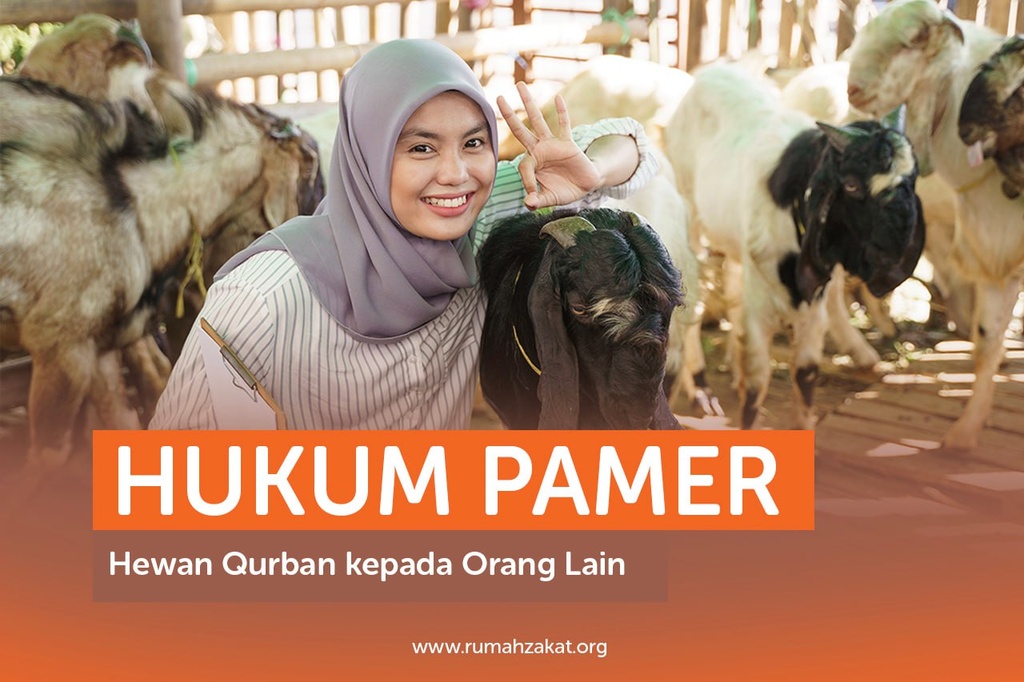 HUKUM PAMER HEWAN QURBAN KEPADA ORANG LAIN