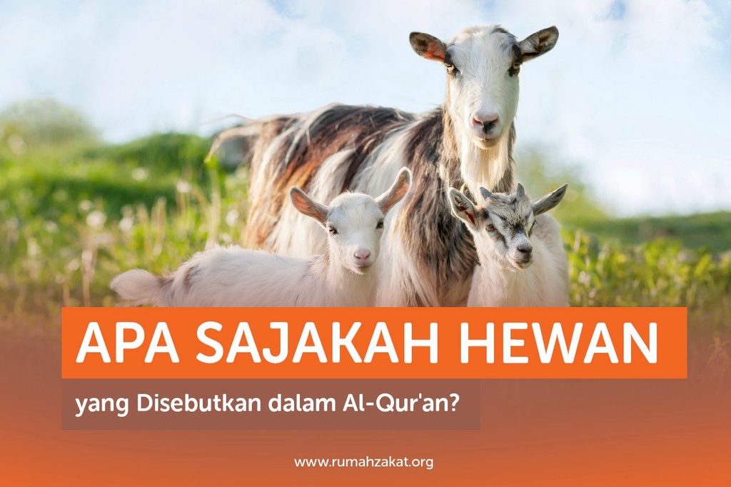 APA SAJAKAH HEWAN YANG DISEBUTKAN DALAM AL-QUR’AN?