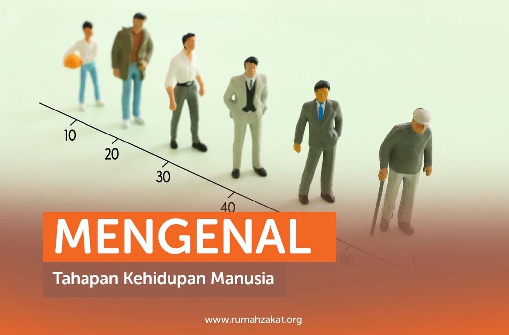 UNDERSTANDING THE STAGES OF HUMAN LIFE