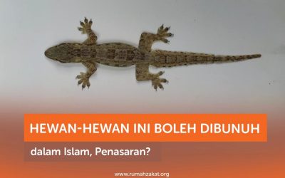 HEWAN-HEWAN INI BOLEH DIBUNUH DALAM ISLAM, PENASARAN?
