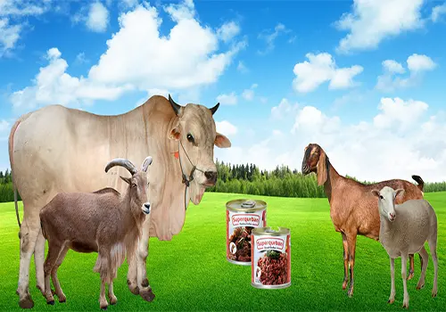 superqurban