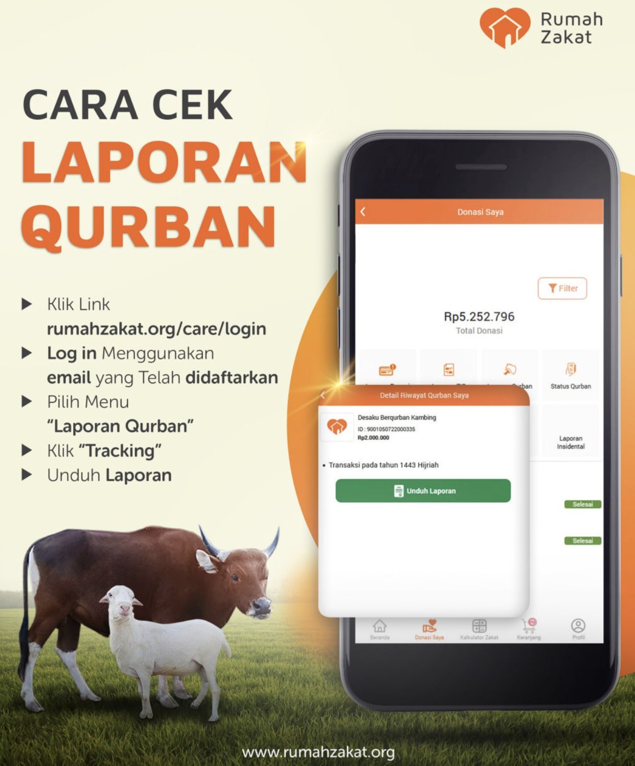 Panduan Cek Laporan Qurban