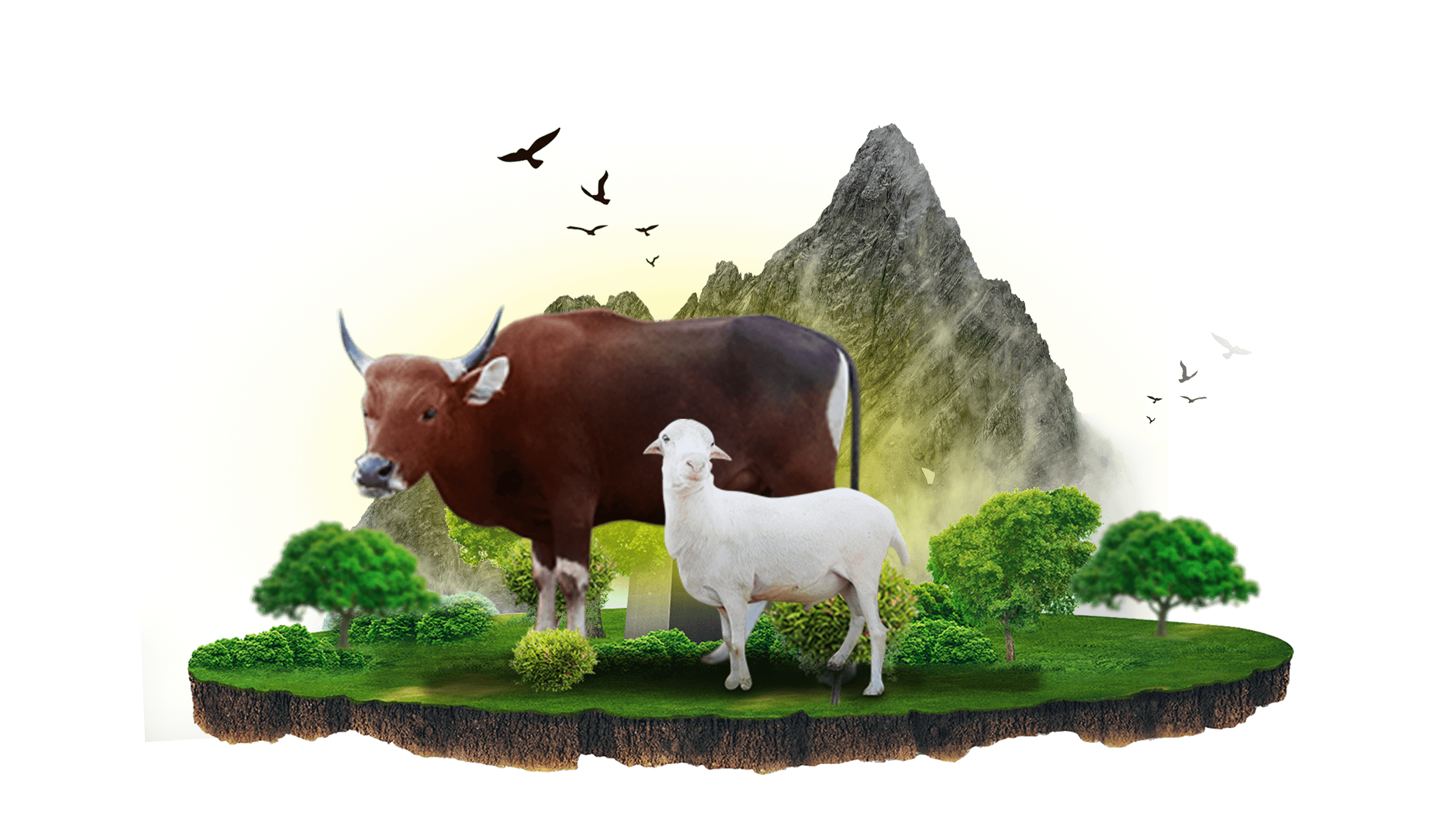 desaku berqurban 2023 sapi mbe
