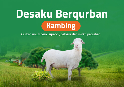 kambing