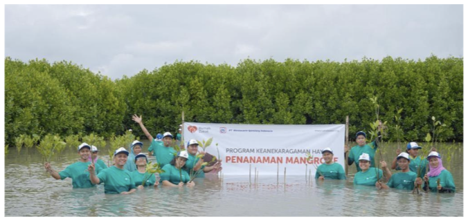 penanaman pohon mangrove portifilio