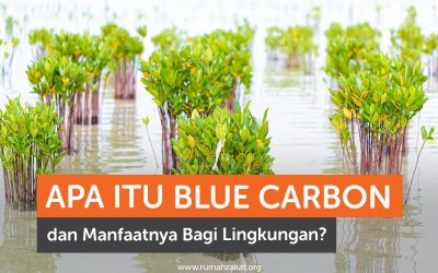 Apa Itu Blue Carbon dan Manfaatnya Bagi Lingkungan?