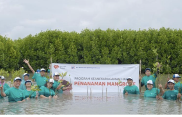 porto crop - penanaman mangrove
