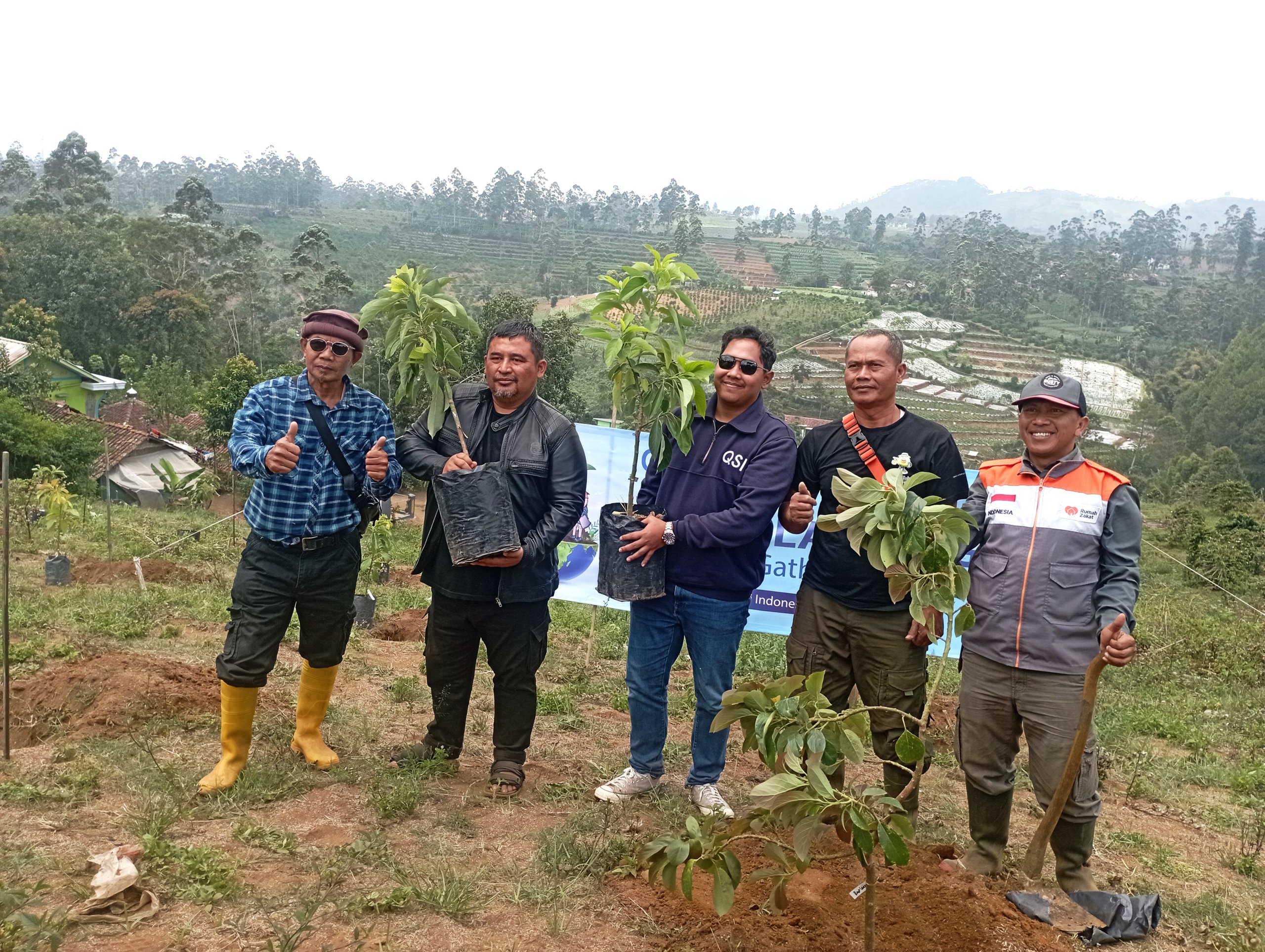 PT Qualitas Sertifikasi Indonesia (QSI) Berkolaborasi Bersama Rumah Zakat Laksanakan Program Penanaman Pohon Alpukat