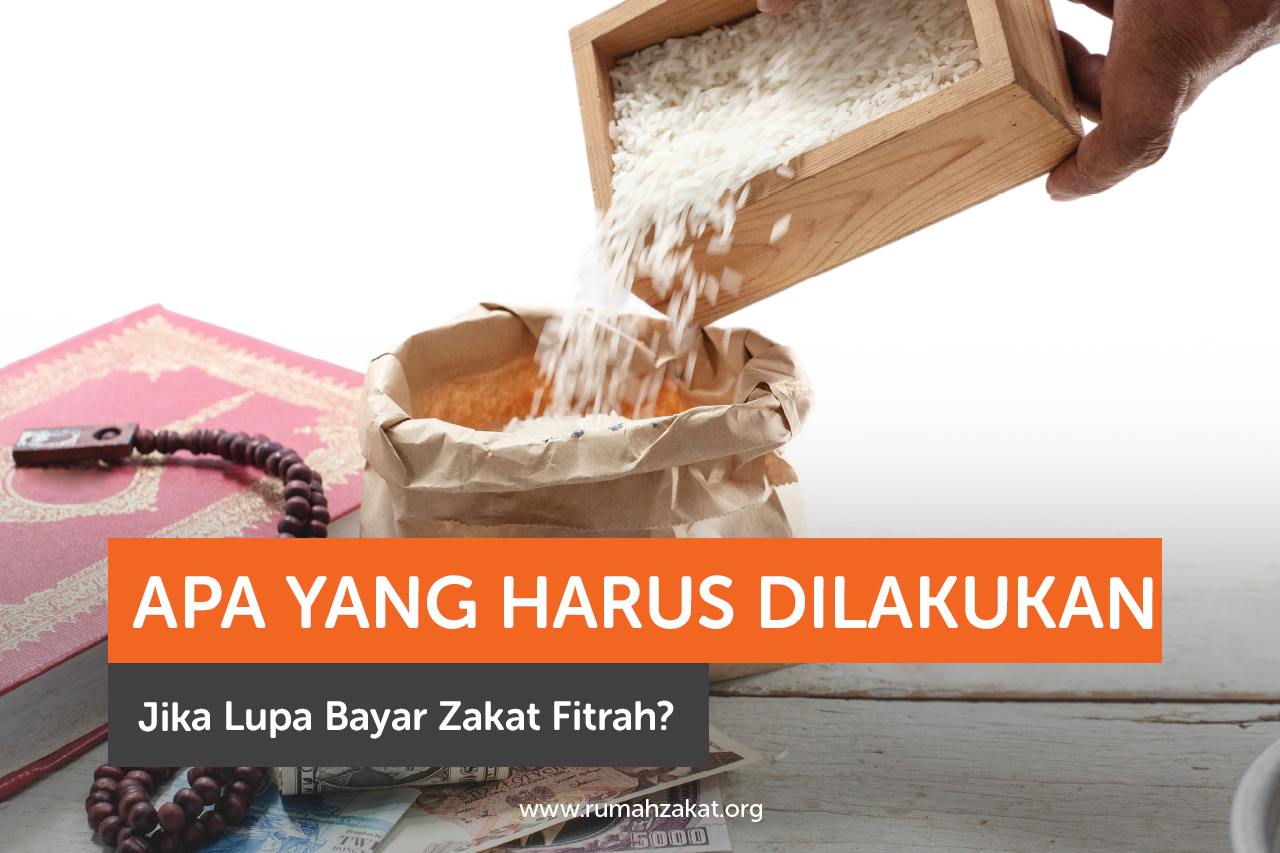 Apa yang Harus Dilakukan Jika Lupa Bayar Zakat Fitrah Apa yang Harus Dilakukan Jika Lupa Bayar Zakat Fitrah