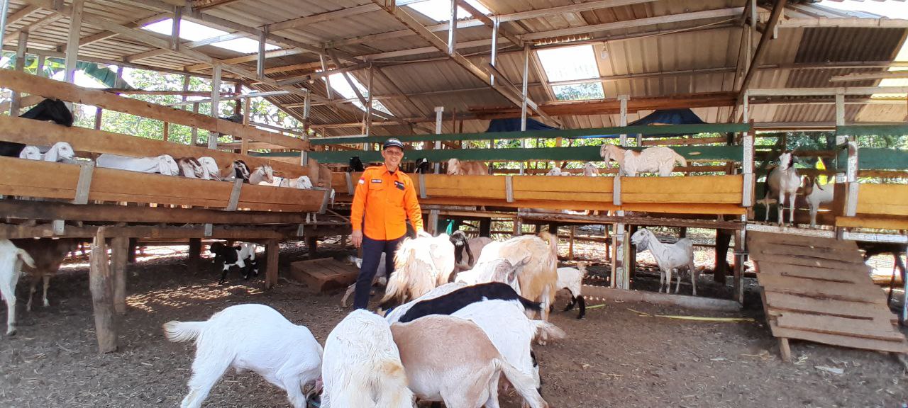 Kisah Sukses Bapak Nahar, Peternak Kambing Binaan Rumah Zakat di Desa Timbuseng