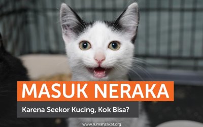 Masuk Neraka Karena Seekor Kucing, Kok Bisa?