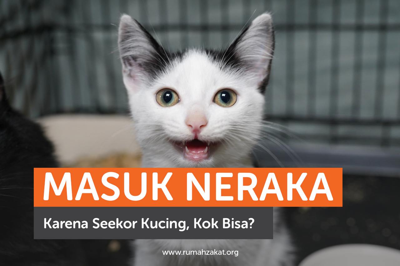Masuk Neraka Karena Seekor Kucing