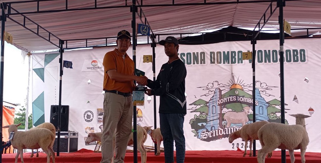 Ahwa Farm Binaan Rumah Zakat Raih Juara 2 di Kontes Dombos Sendangsari Cup