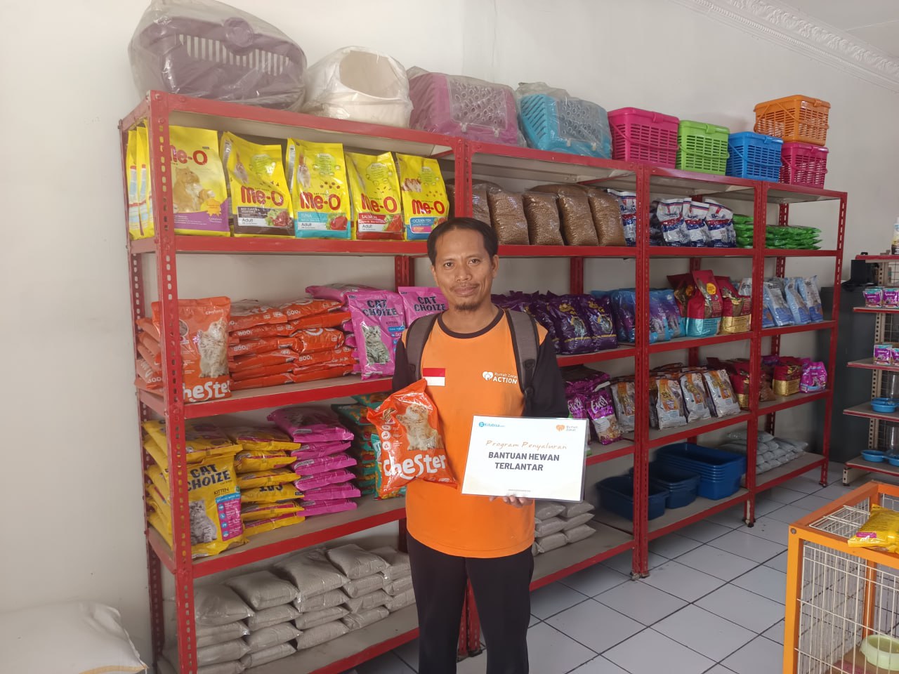 Rumah Zakat Melalui KitaBisa Salurkan Bantuan untuk Kucing Terlantar