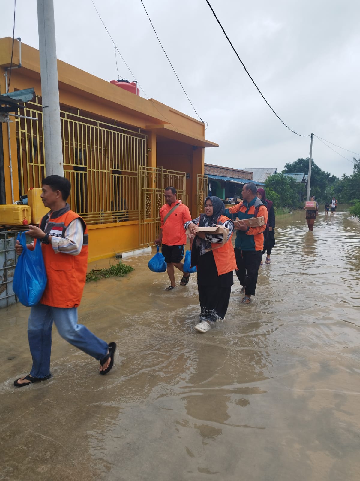 WhatsApp Image 2025-01-14 at 08.56.00_004e3f49