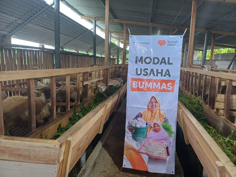 Didampingi Program BUMMas Rumah Zakat, Peternak Hasilkan Tiga Anakan Dombos