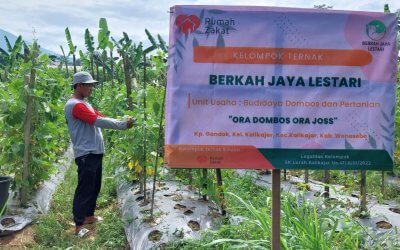 BUMMas Rumah Zakat Bersyukur Bisa Panen 115 Kg Buncis