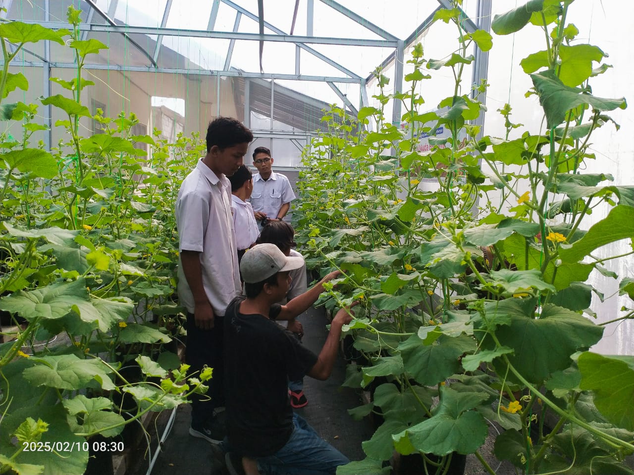 Orang Tua Bertani Itu Hal Biasa, Tapi Jika Pemuda Yang Bertani Itu Luar Biasa