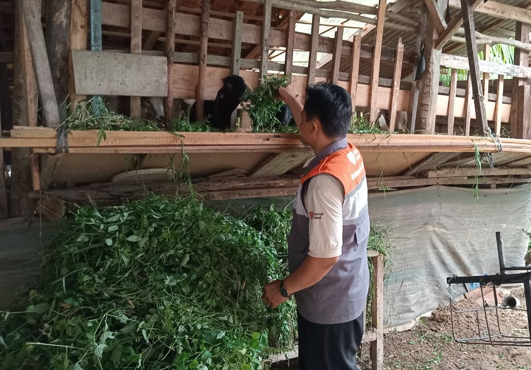 Rumah Zakat beri bantuan modal untuk peternak desa.
