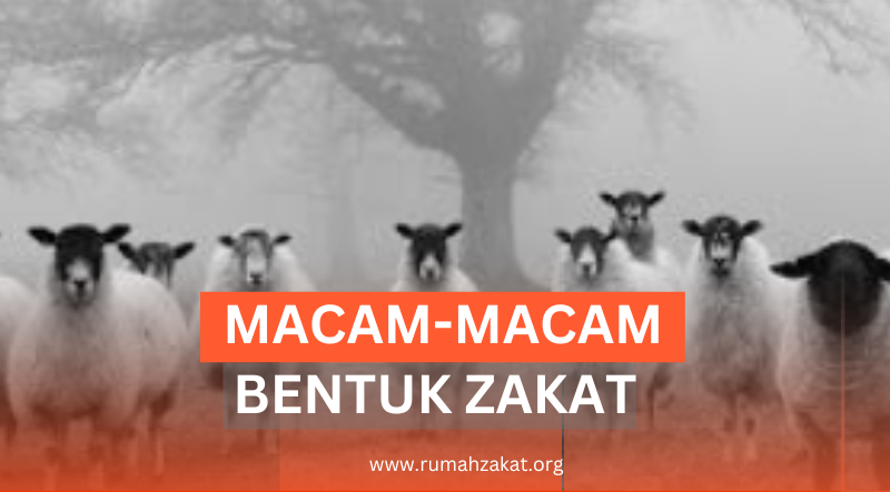 MACAM-MACAM BENTUK ZAKAT HARTA