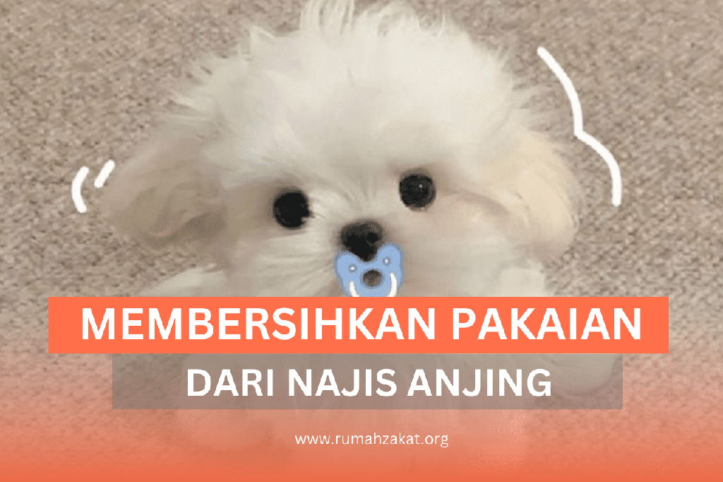 PENTING! INI CARA MEMBERSIHKAN NAJIS ANJING DARI PAKAIAN