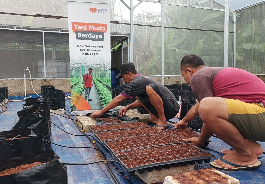 Rumah Zakat Berdayakan Petani Melon Hidroponik Lokal
