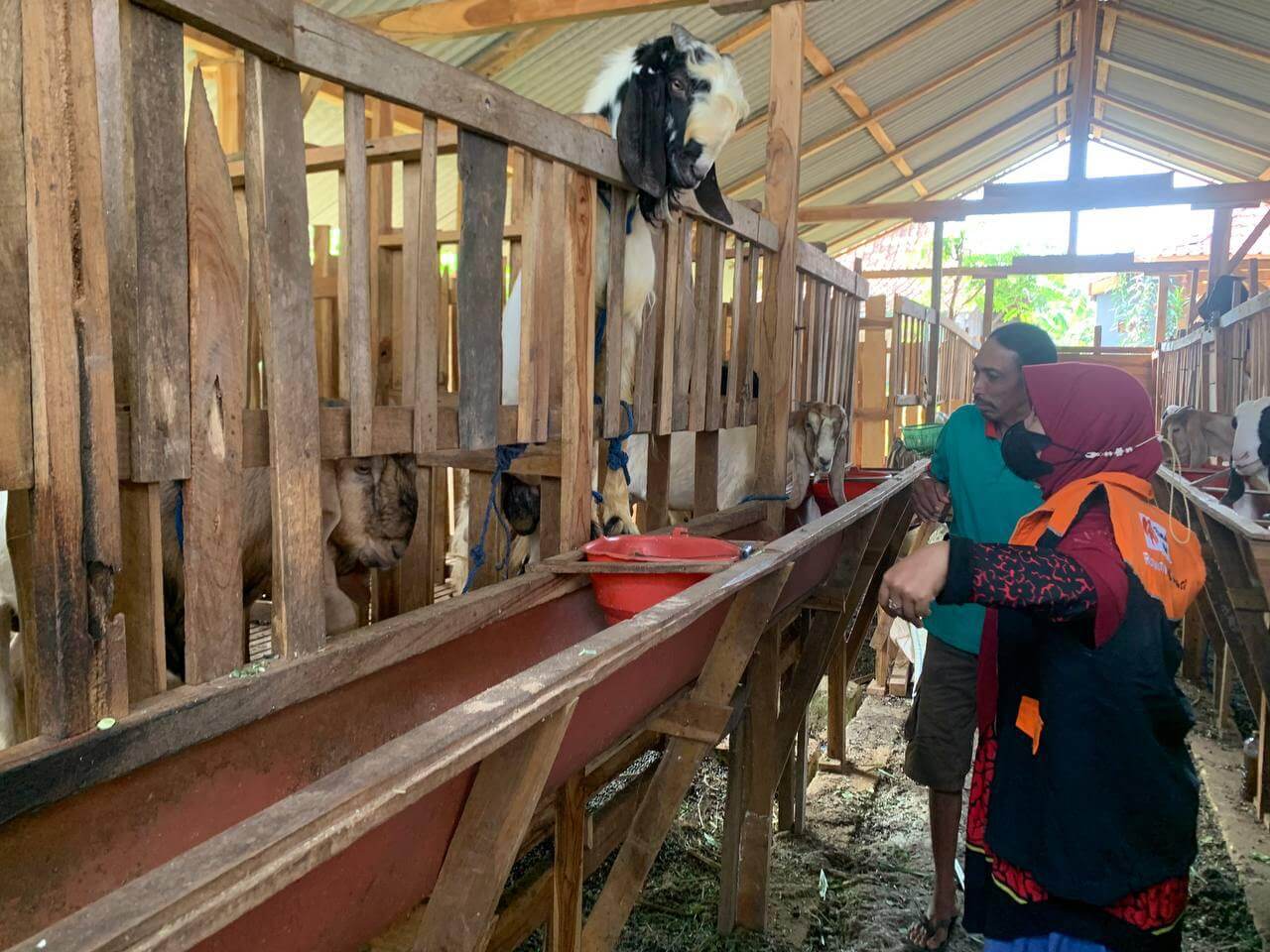 Wujudkan Ekonomi Mandiri, Rumah Zakat Lakukan Pemberdayaan