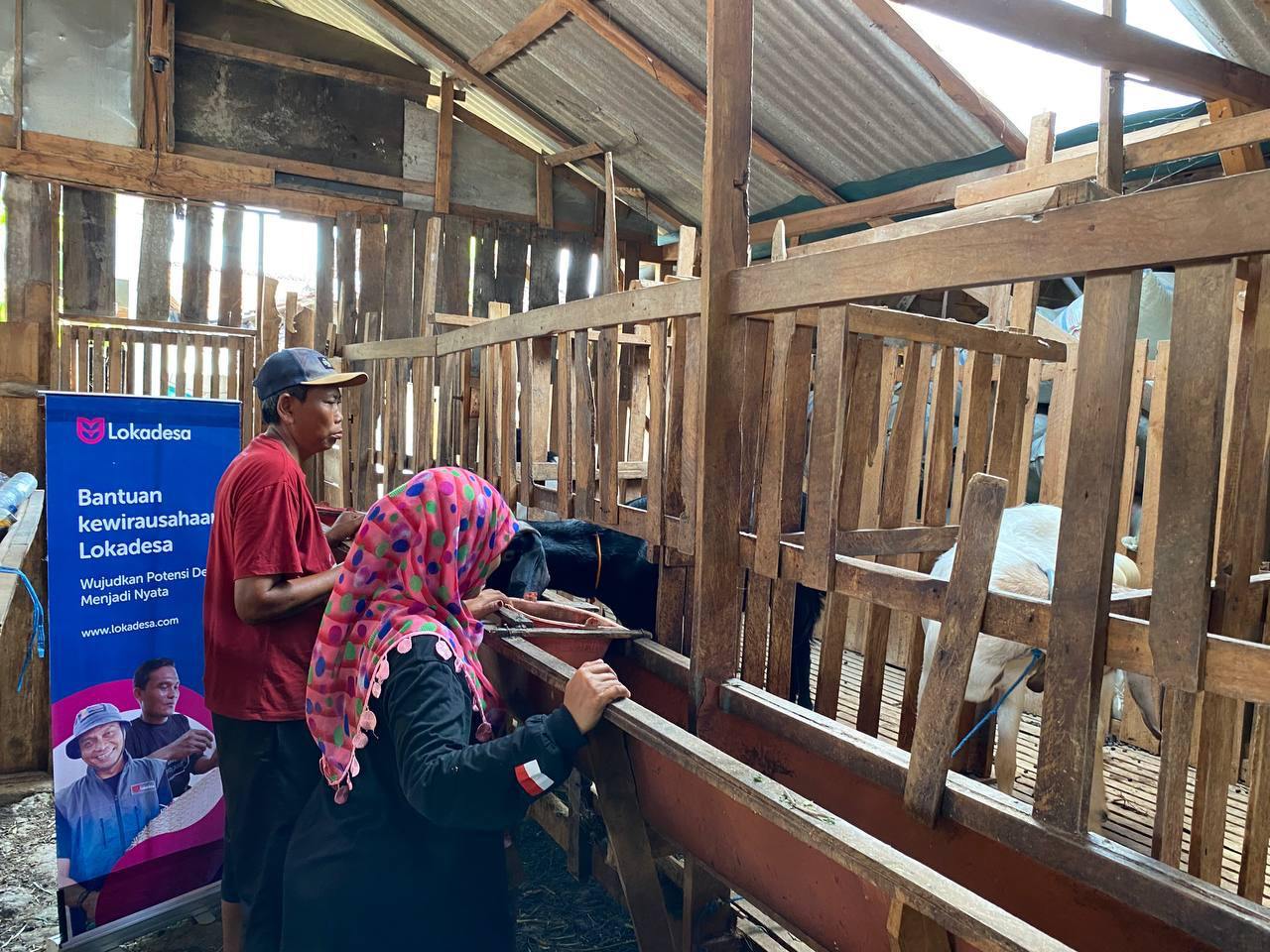 Melalui Program Pendampingan, Rumah Zakat dan Lokadesa Tingkatkan Kesejahteraan Peternak