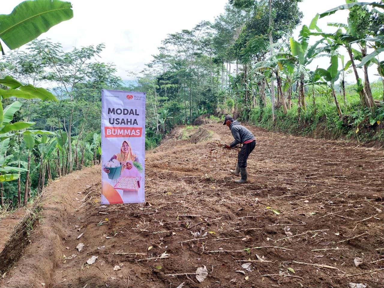 Melalui Pemberdayaan BUMMas, Rumah Zakat Wujudkan Kemandirian Peternak