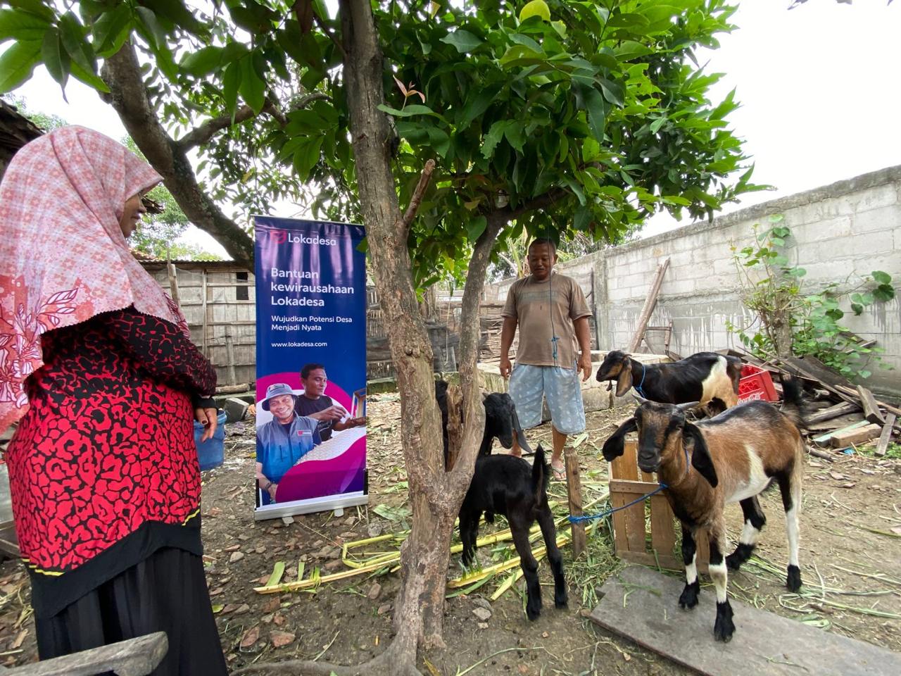 Melalui Modal Usaha, Rumah Zakat Terus Bantu Kembangkan Peternakan Desa