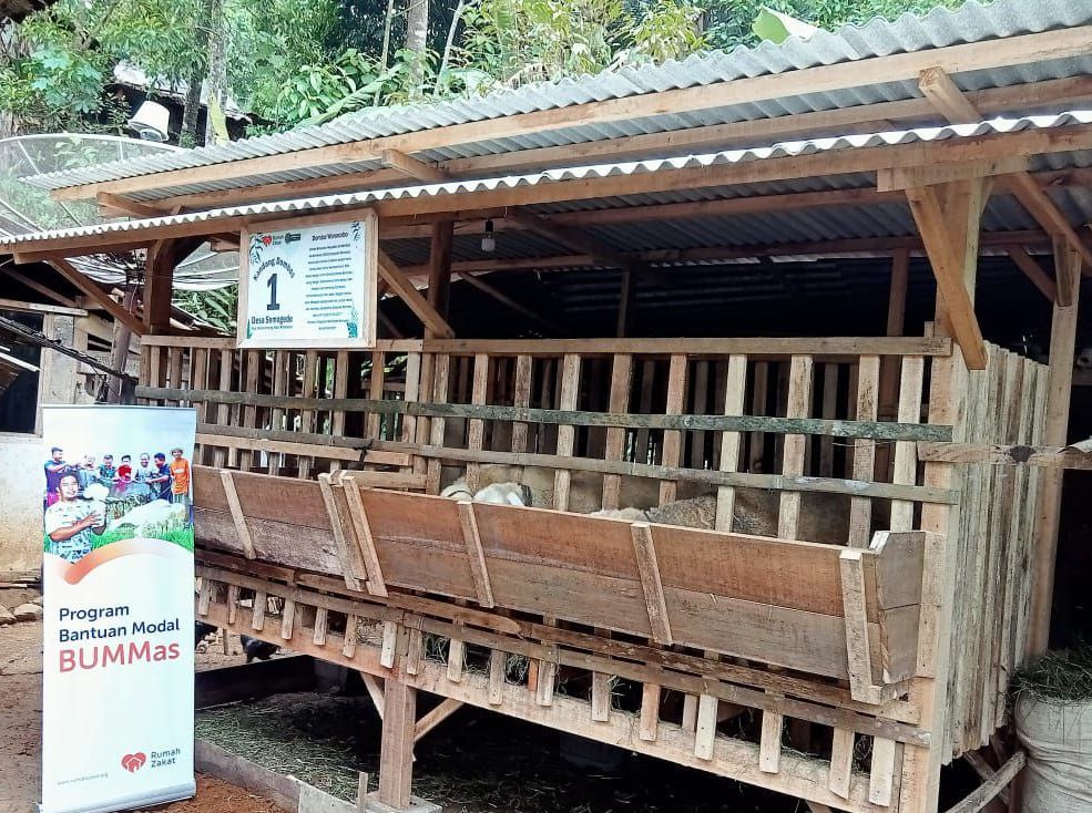 Rumah Zakat Berikan Bantuan Renovasi Kandang Dombos untuk Tingkatkan Produktivitas Ternak