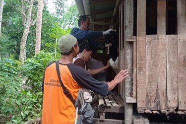 Peternak Binaan Rumah Zakat dan Dinas Kesehatan Bersinergi untuk Vaksinasi Hewan Ternak