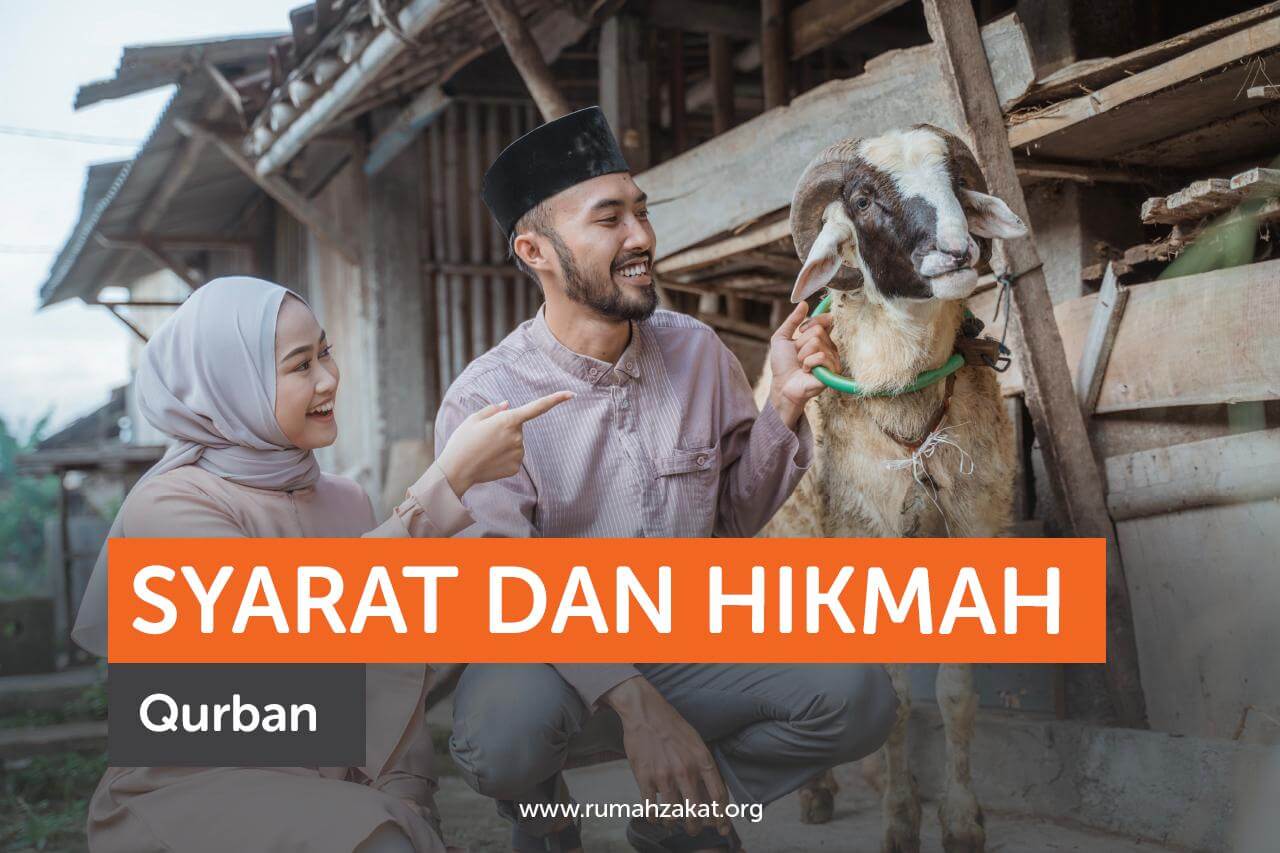 Syarat dan Hikmat Qurban